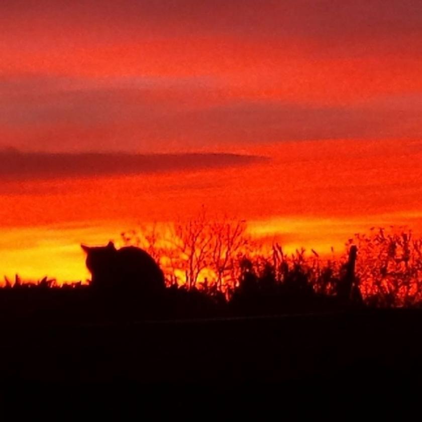 tramonto