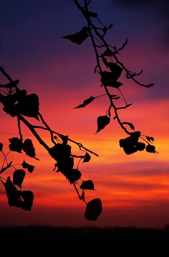 tramonto1