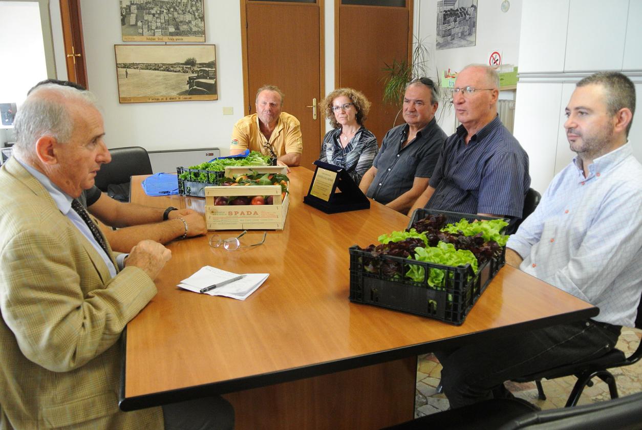 bandiera gialle al mercato ortofrutticolo di lusia (3)