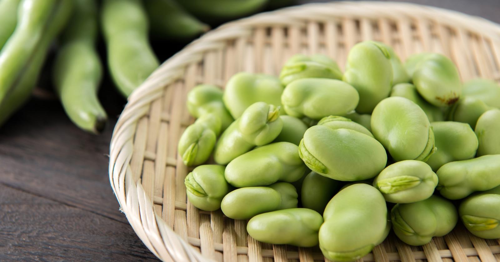 Le fave sono i legumi light della primavera