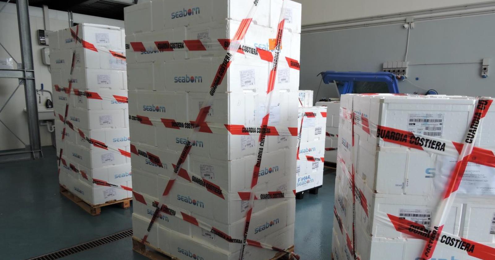 Maxi sequestro di pesce fresco e congelato a una azienda polesana