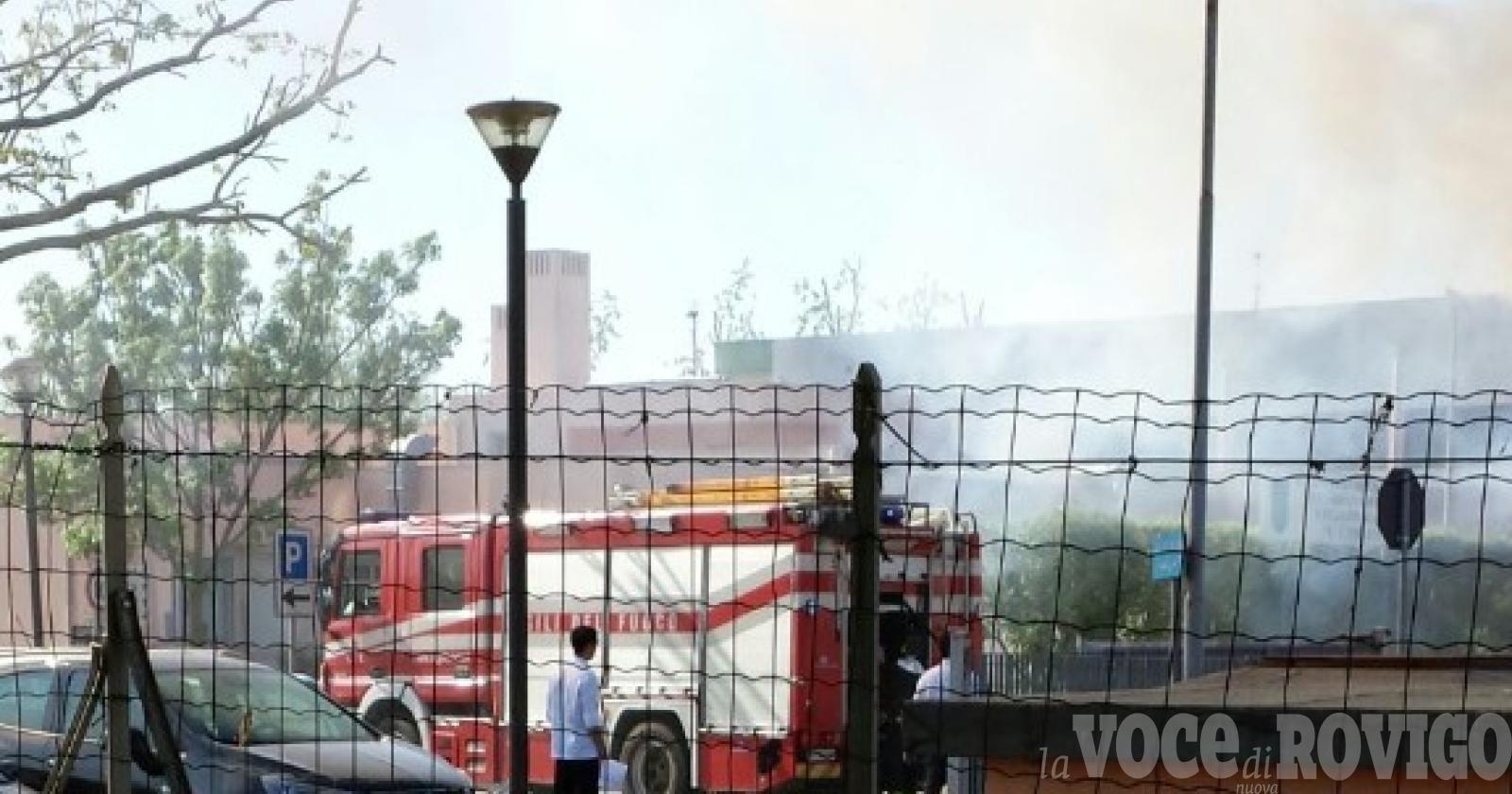 Incendio alla siepe dell'istituto alberghiero