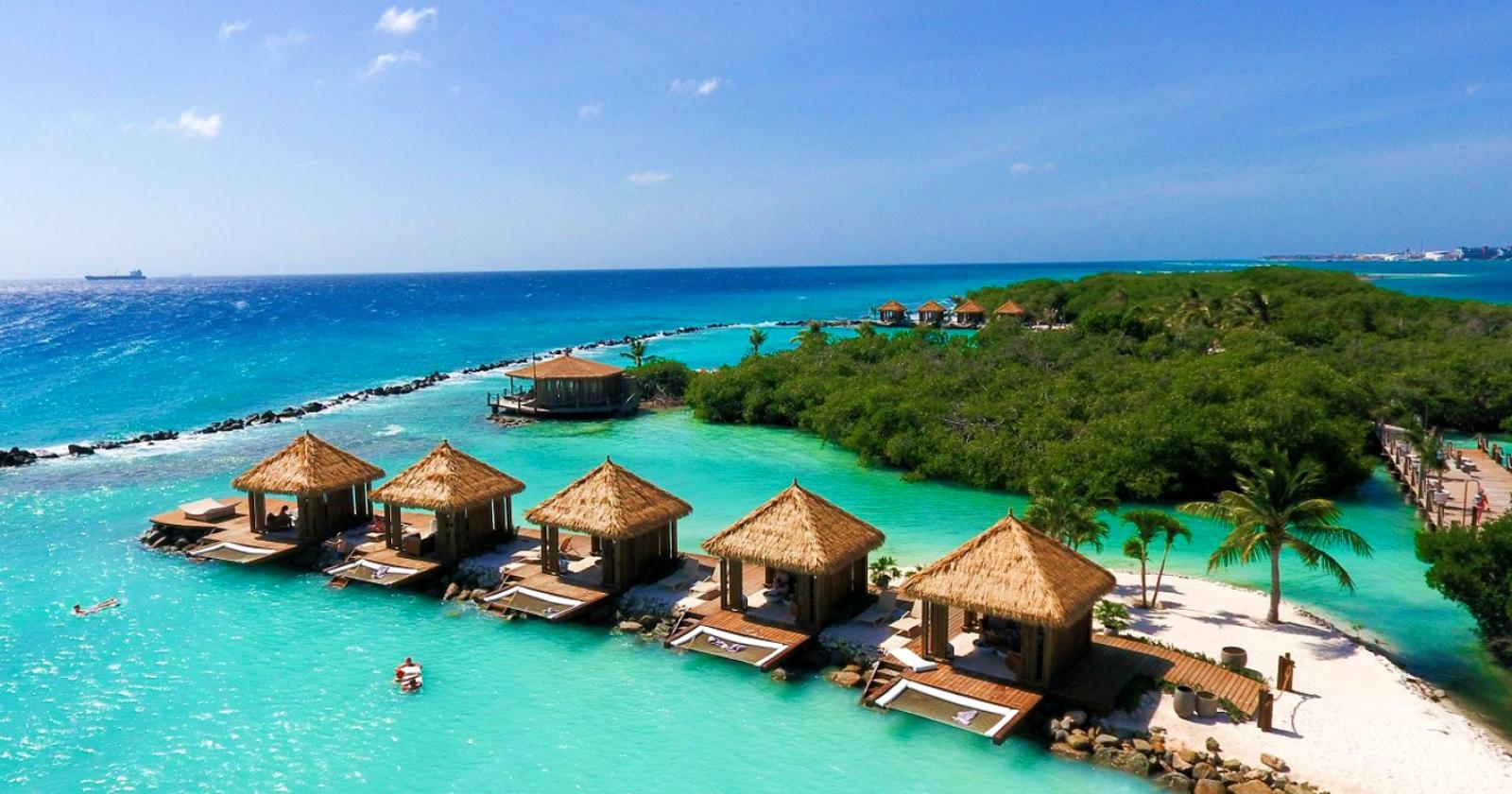 Stesi al sole con i fenicotteri rosa ad Aruba, l'isola più bella dei Caraibi
