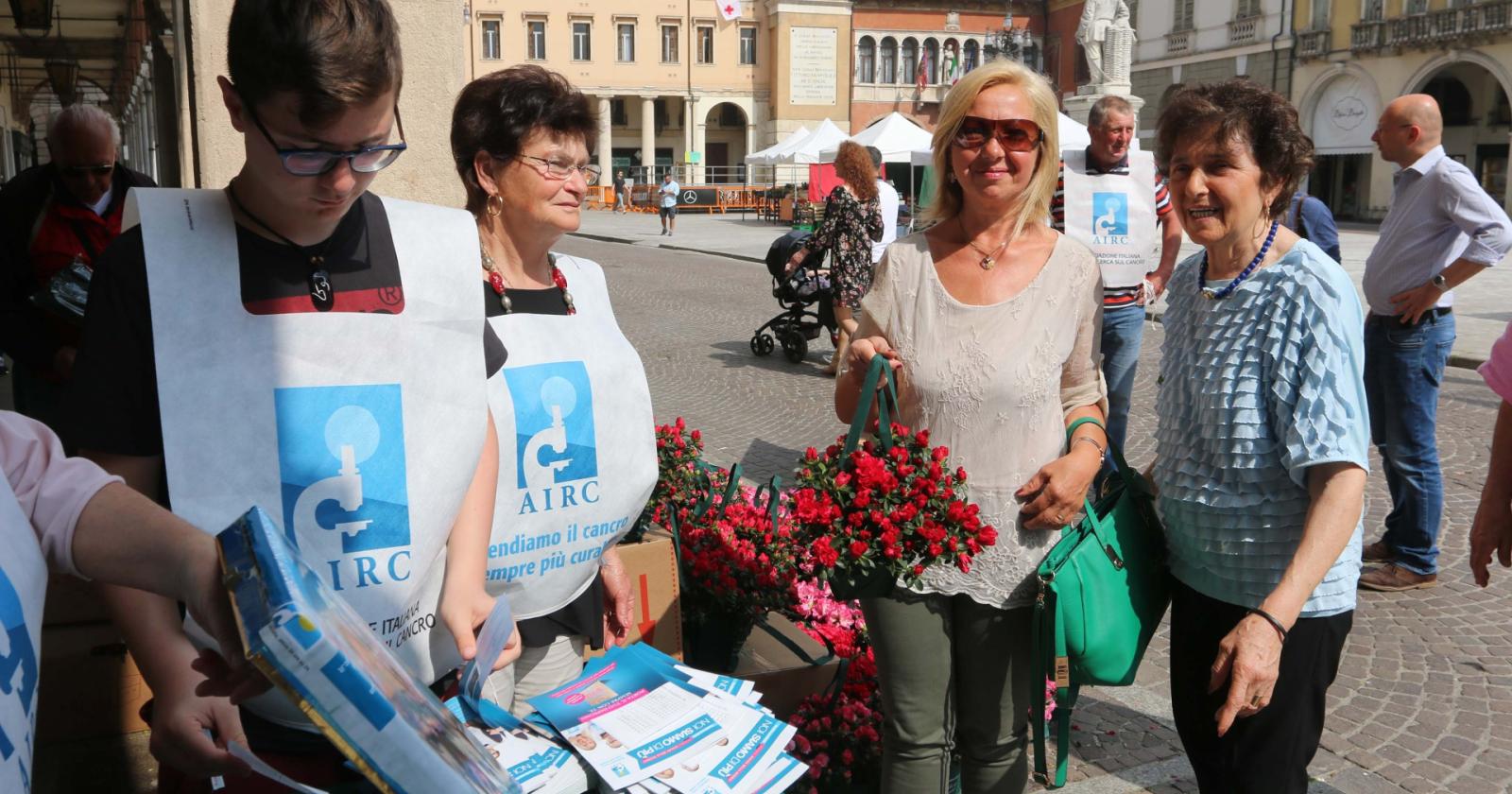 Le Azalee della ricerca ora si possono comprare online