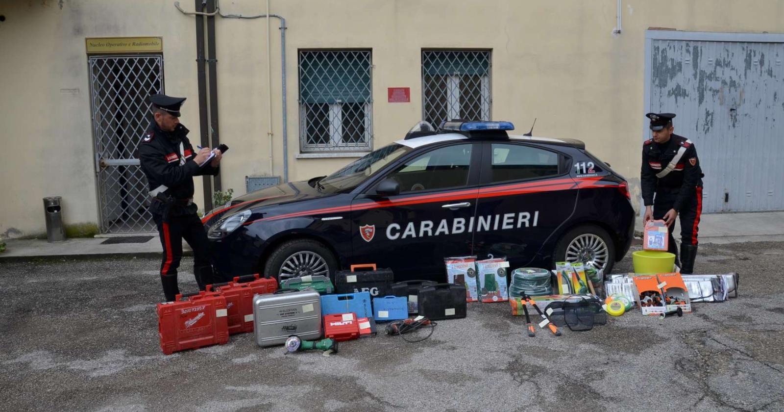 Refurtiva in cerca dei padroni: l'appello dei carabinieri