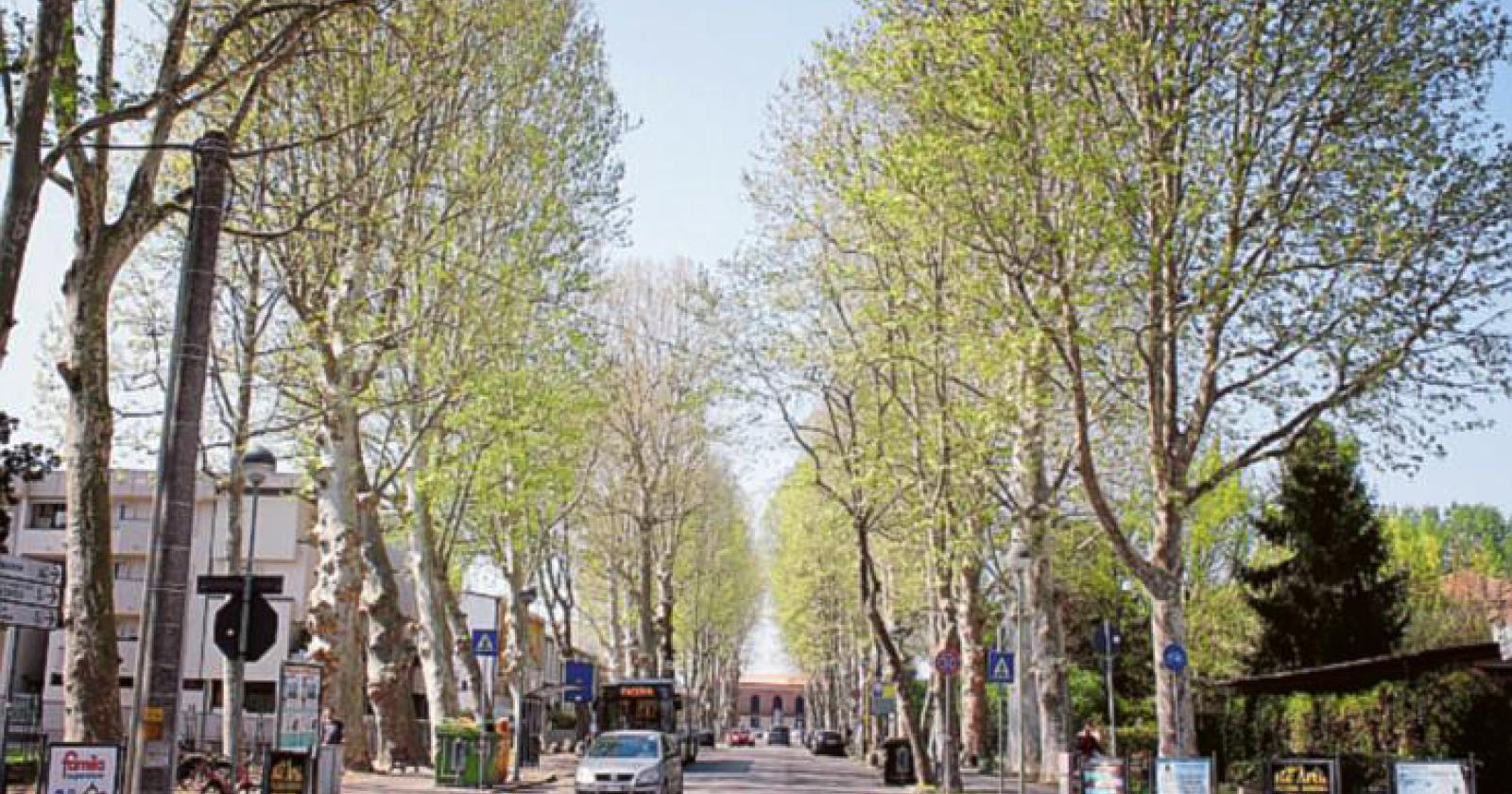 Dal viale della stazione si potrà solo uscire