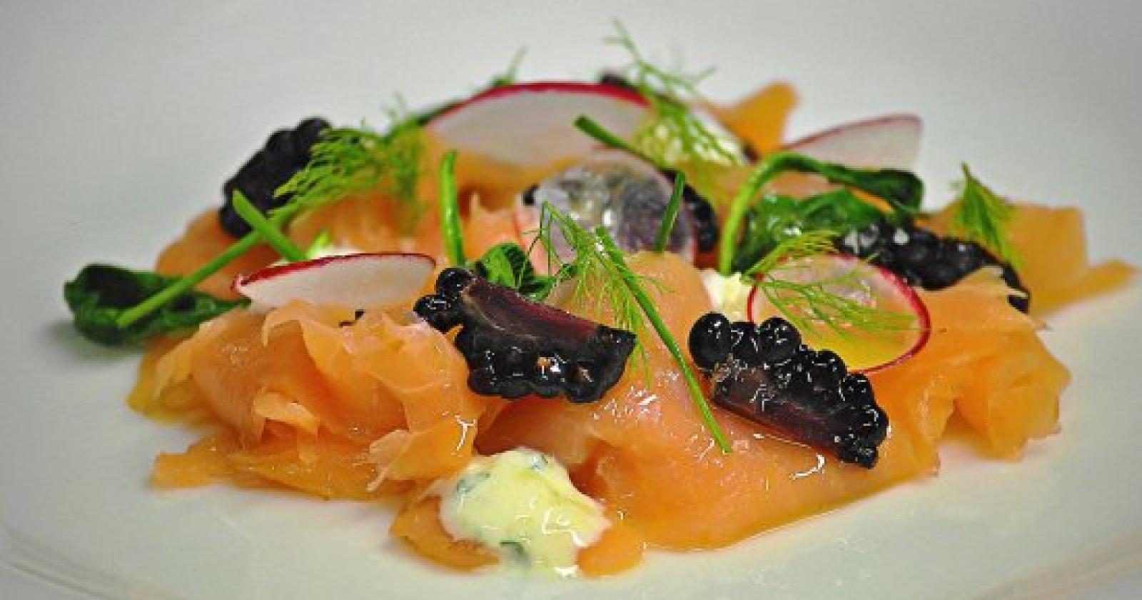 Salmone e more