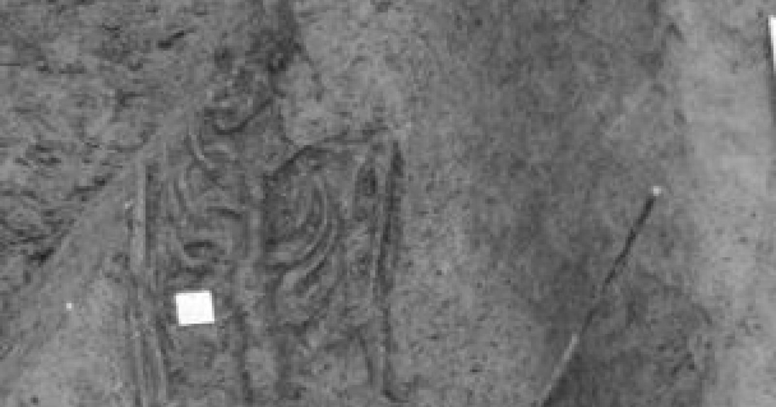 Ritrovati i resti di uno schiavo crocifisso in epoca romana