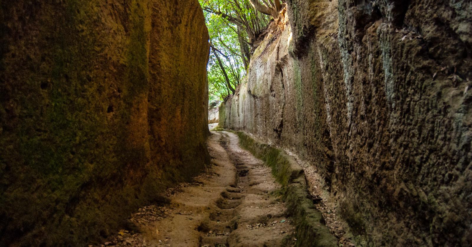 Vie cave