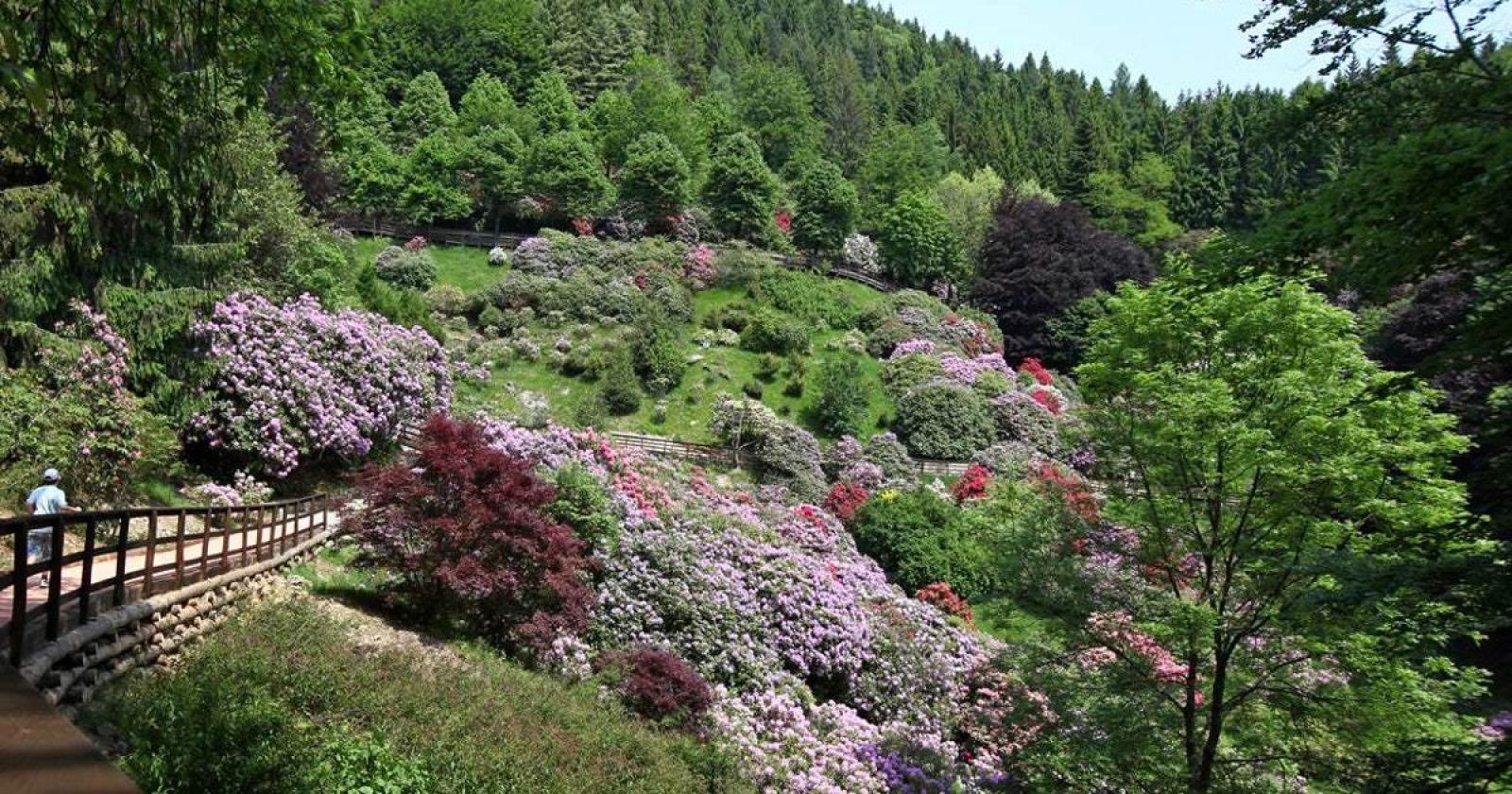 Oasi Zegna, una tavolozza variopinta nel cuore delle Alpi biellesi