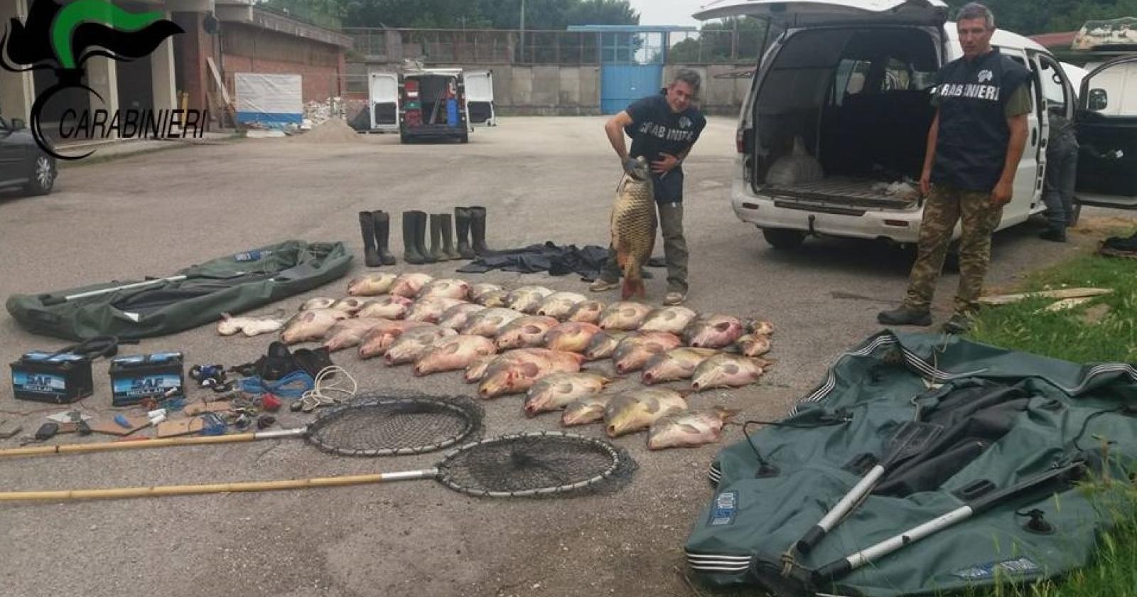 "Insieme per un regolamento unico contro il bracconaggio sul Po"