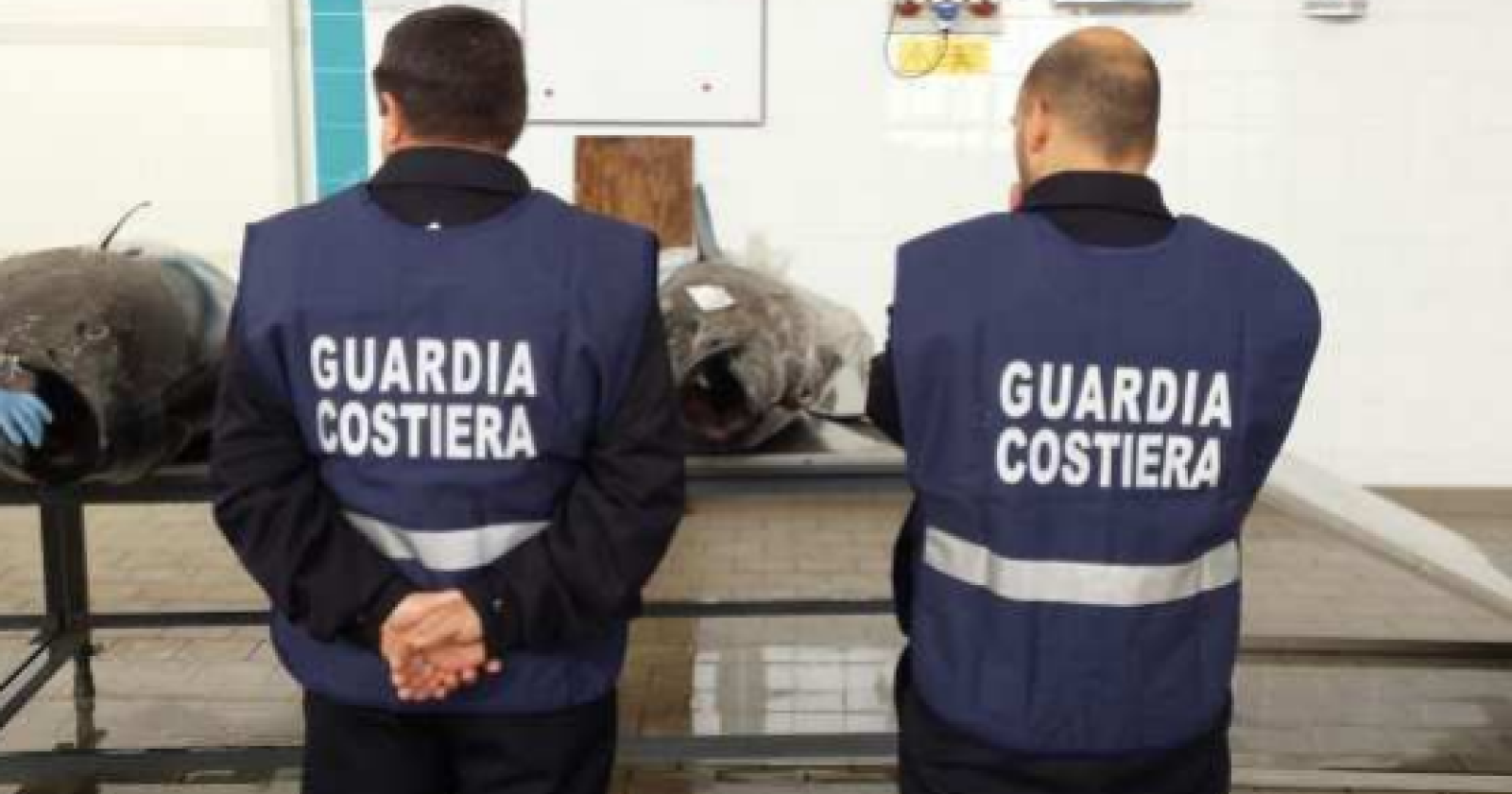 Sequestrati 5 quintali di tonno rosso in un deposito 