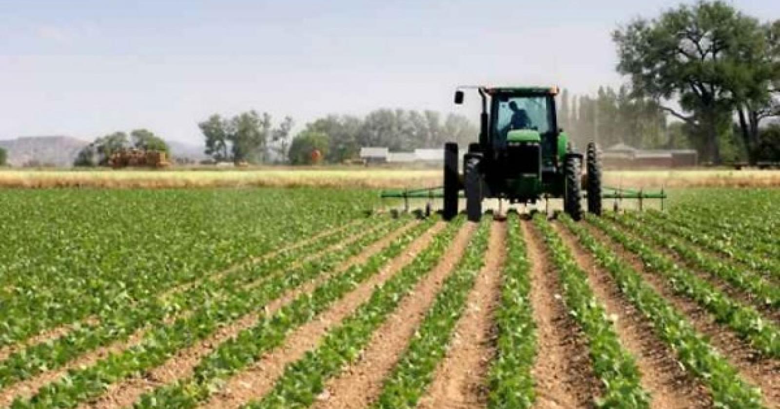 Agricoltura, allarme lavoro in nero: in Polesine sono 1.500