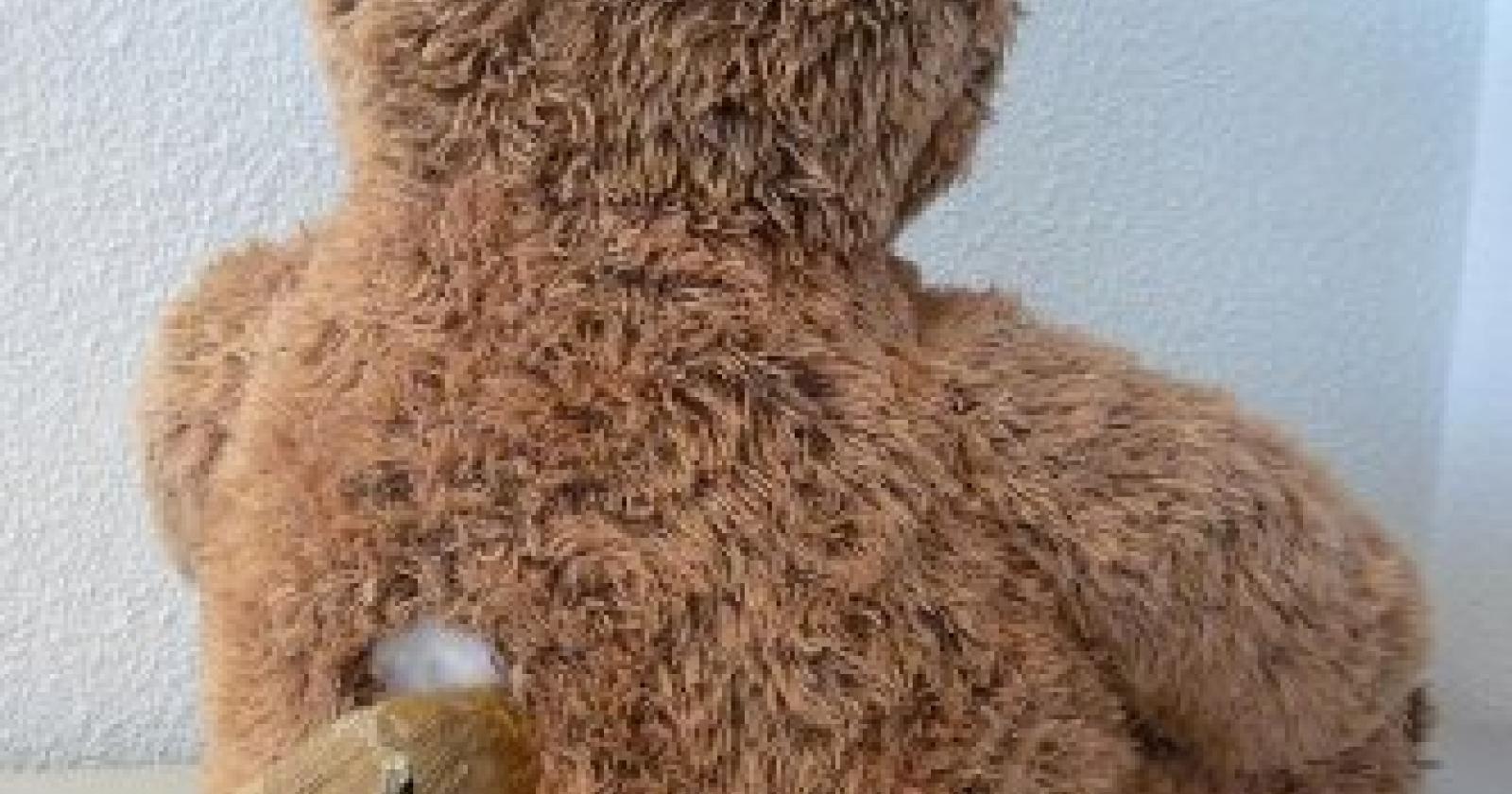 Droga nei pupazzi della figlia: arrestato 31enne