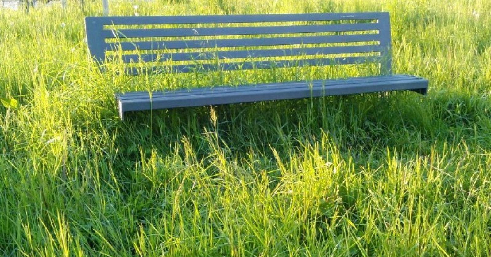 "Multe per chi non taglia l'erba"