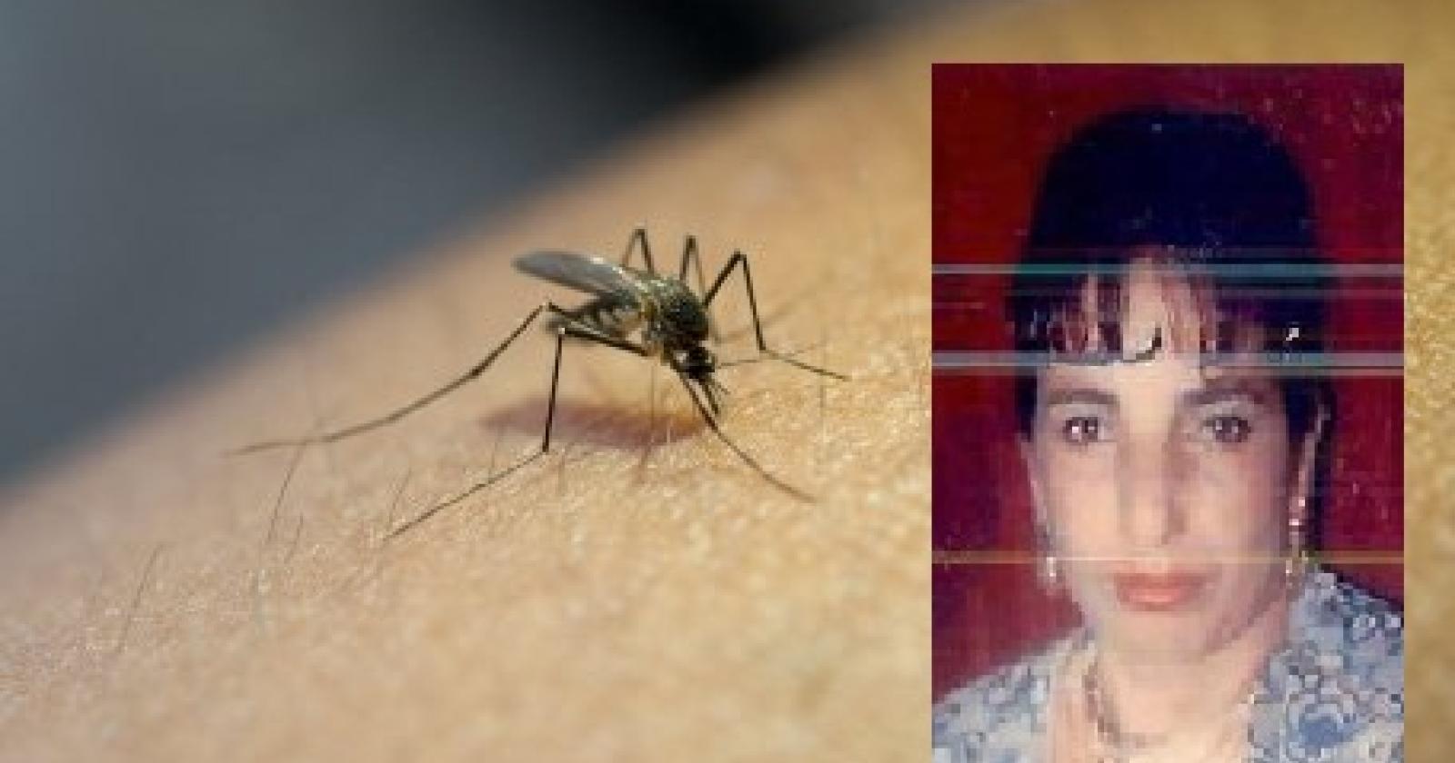 Mamma di 5 figli muore di West Nile: primo caso in Polesine