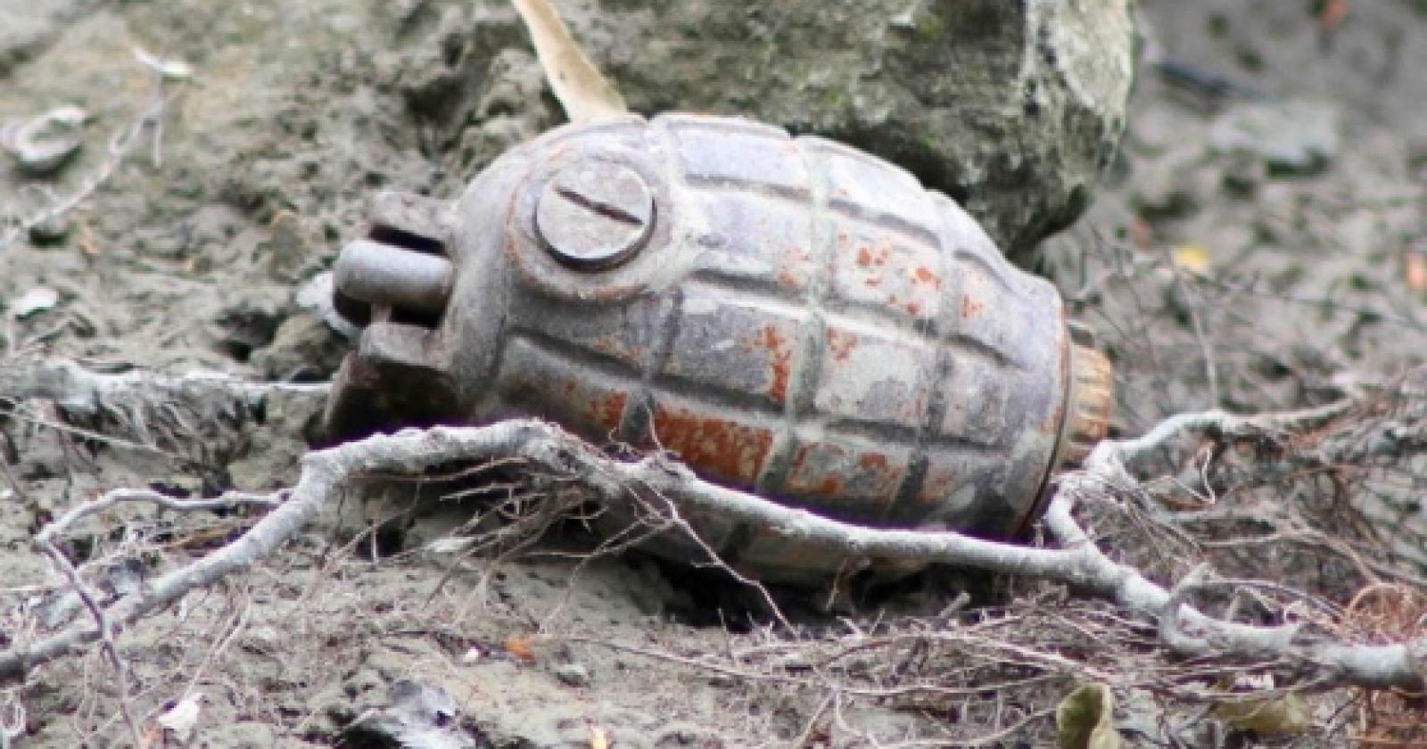 Una bomba a mano trovata sulla sponda dell'Adige
