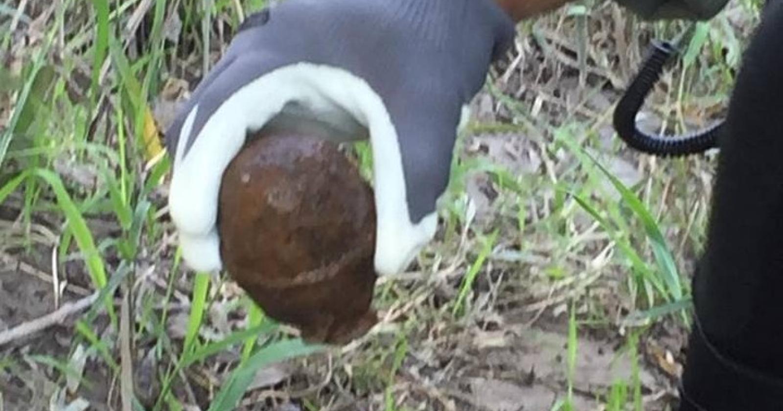 Residuato bellico vicino all'Adige, lo fanno brillare