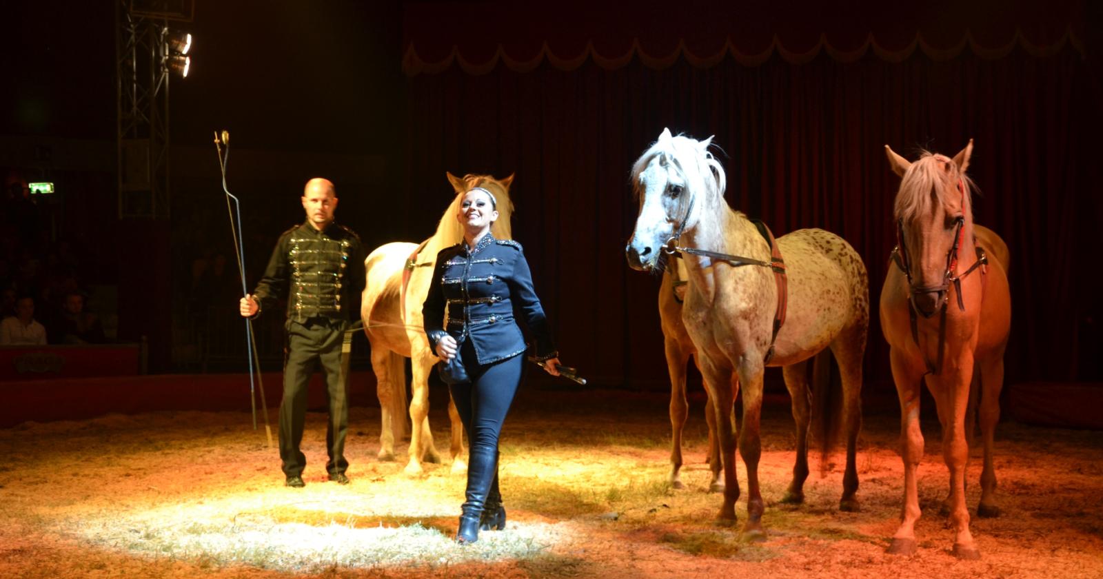 Animali al circo, sì... ma con riserva