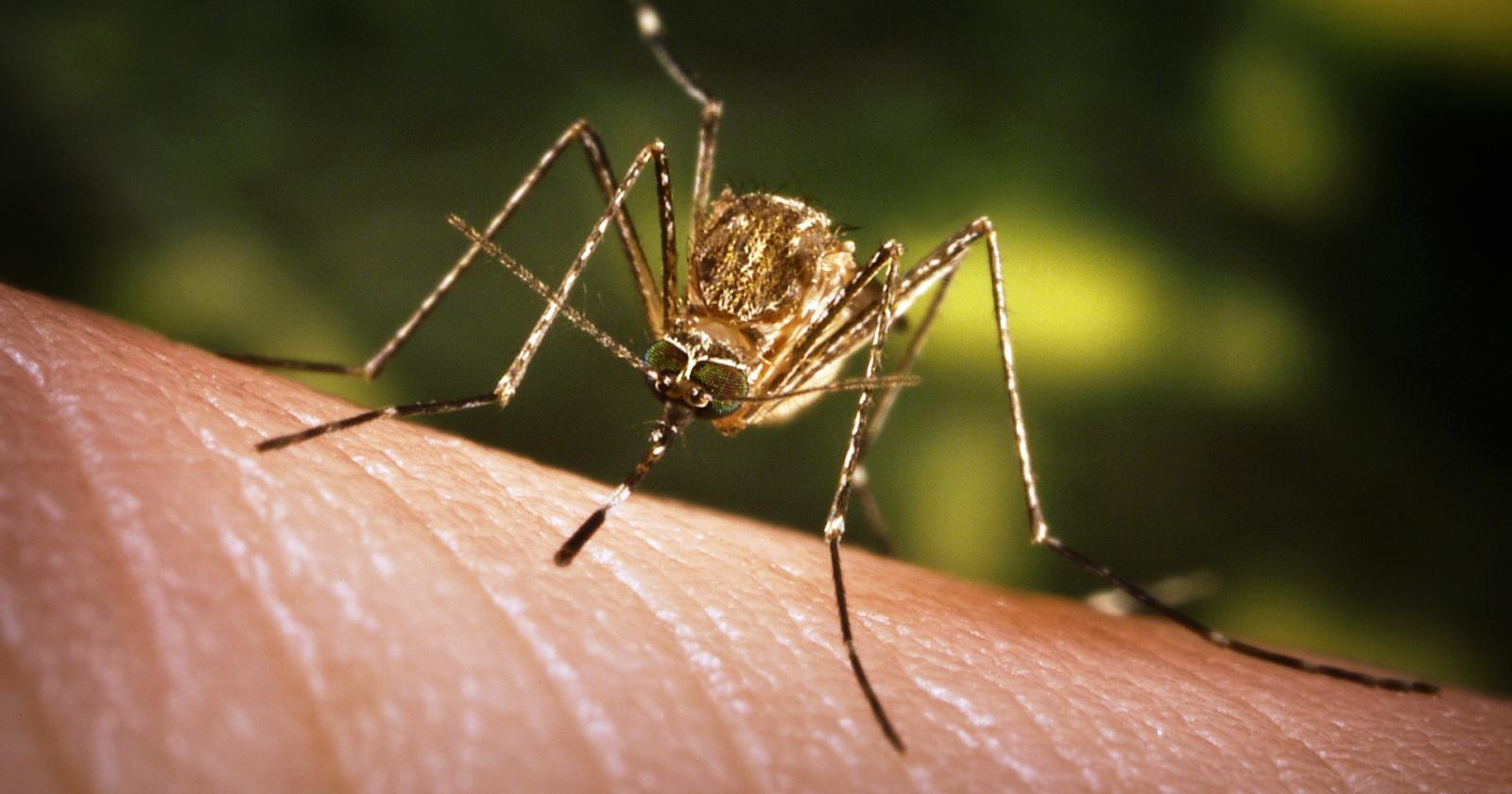 West Nile, undici medici indagati dopo il decesso di un paziente