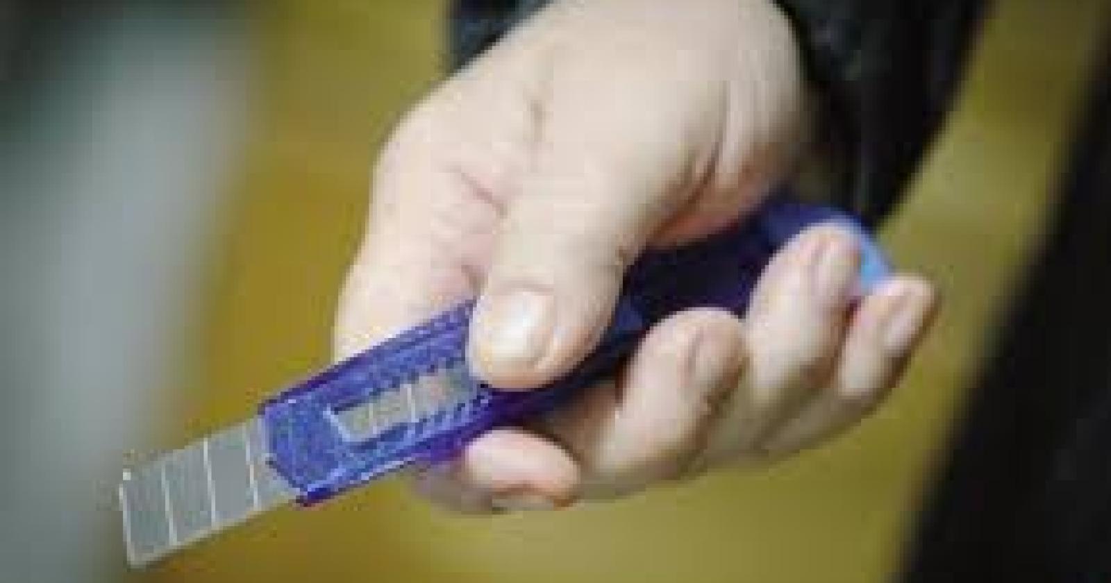 Sorpresa a rubare in un negozio, accoltella il commesso