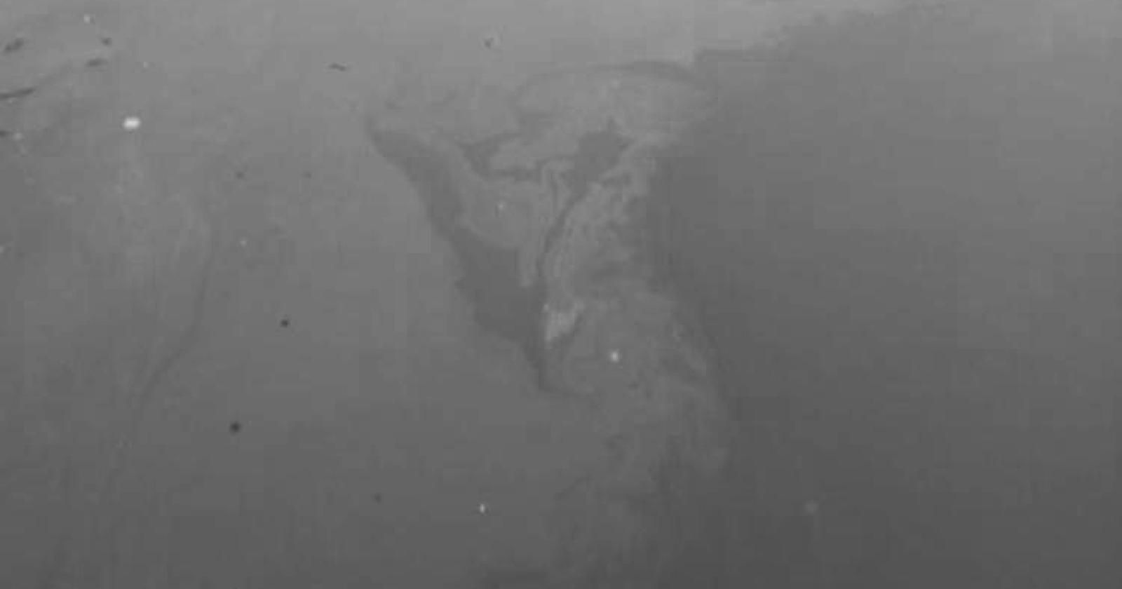 Grande chiazza oleosa sul Po: rischio disastro ambientale