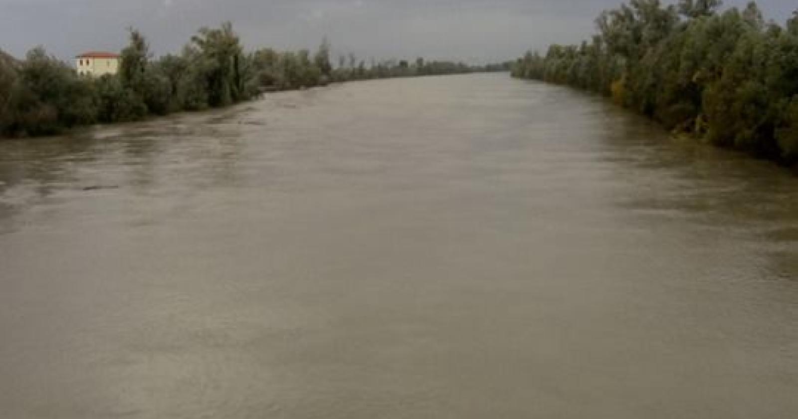 Nuovo allarme salmonella nell'Adige