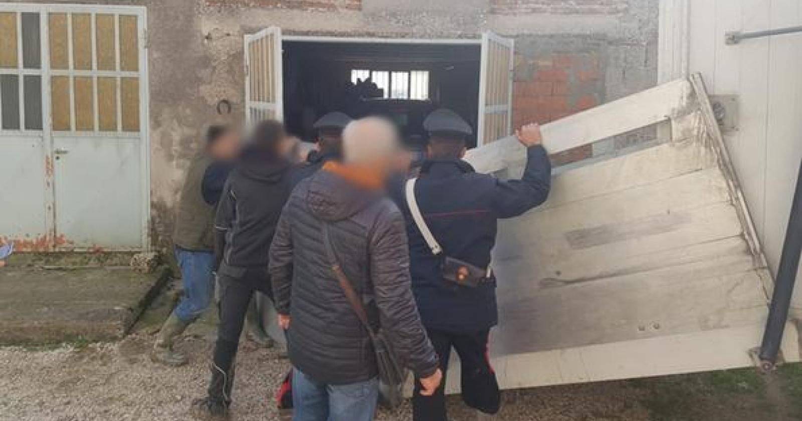 Tentano di rubare il bestiame ma un manzo riesce a scappare e si rifugia in un garage