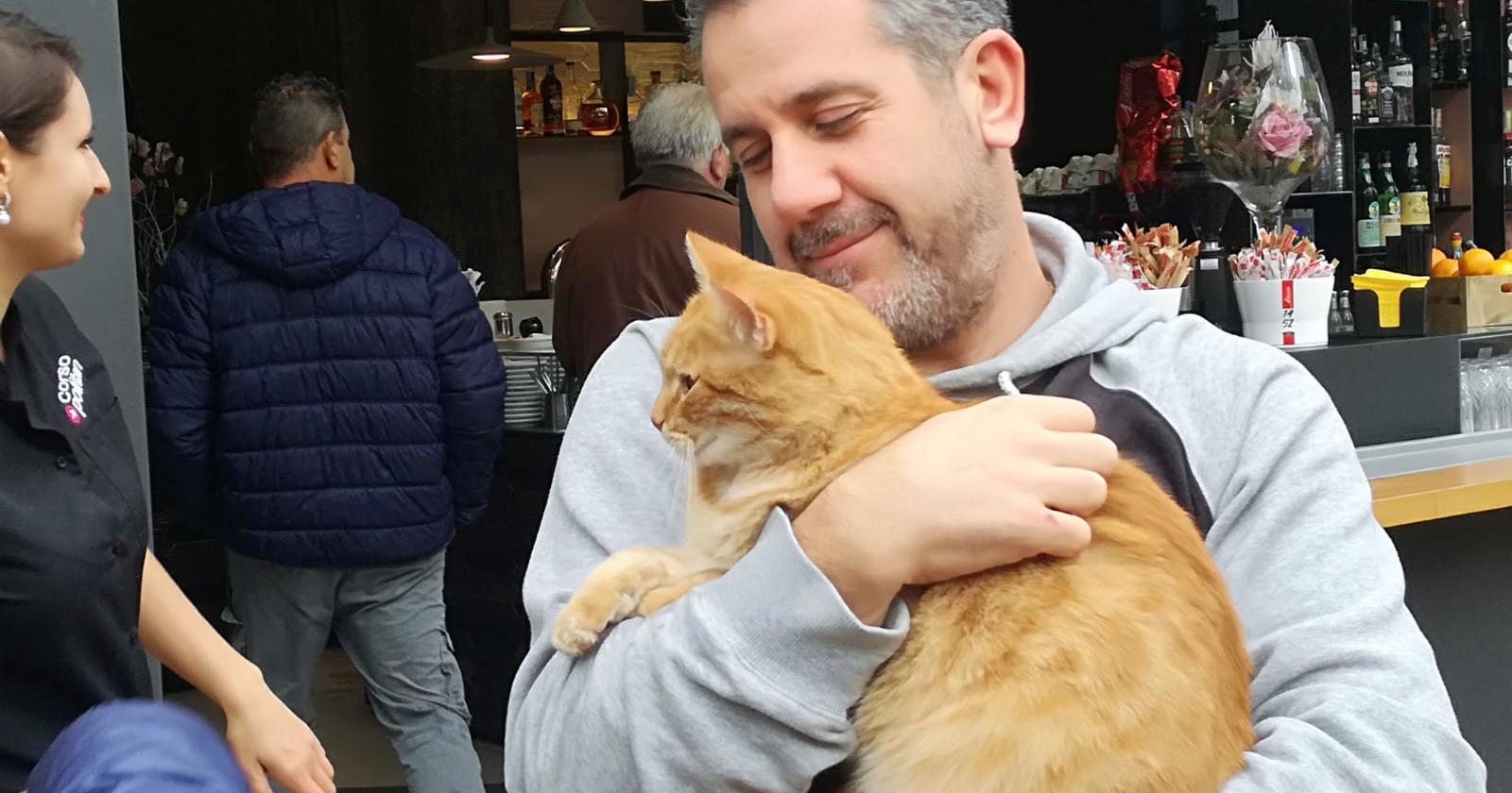 Anche Gatto Rossini in attesa di Corona