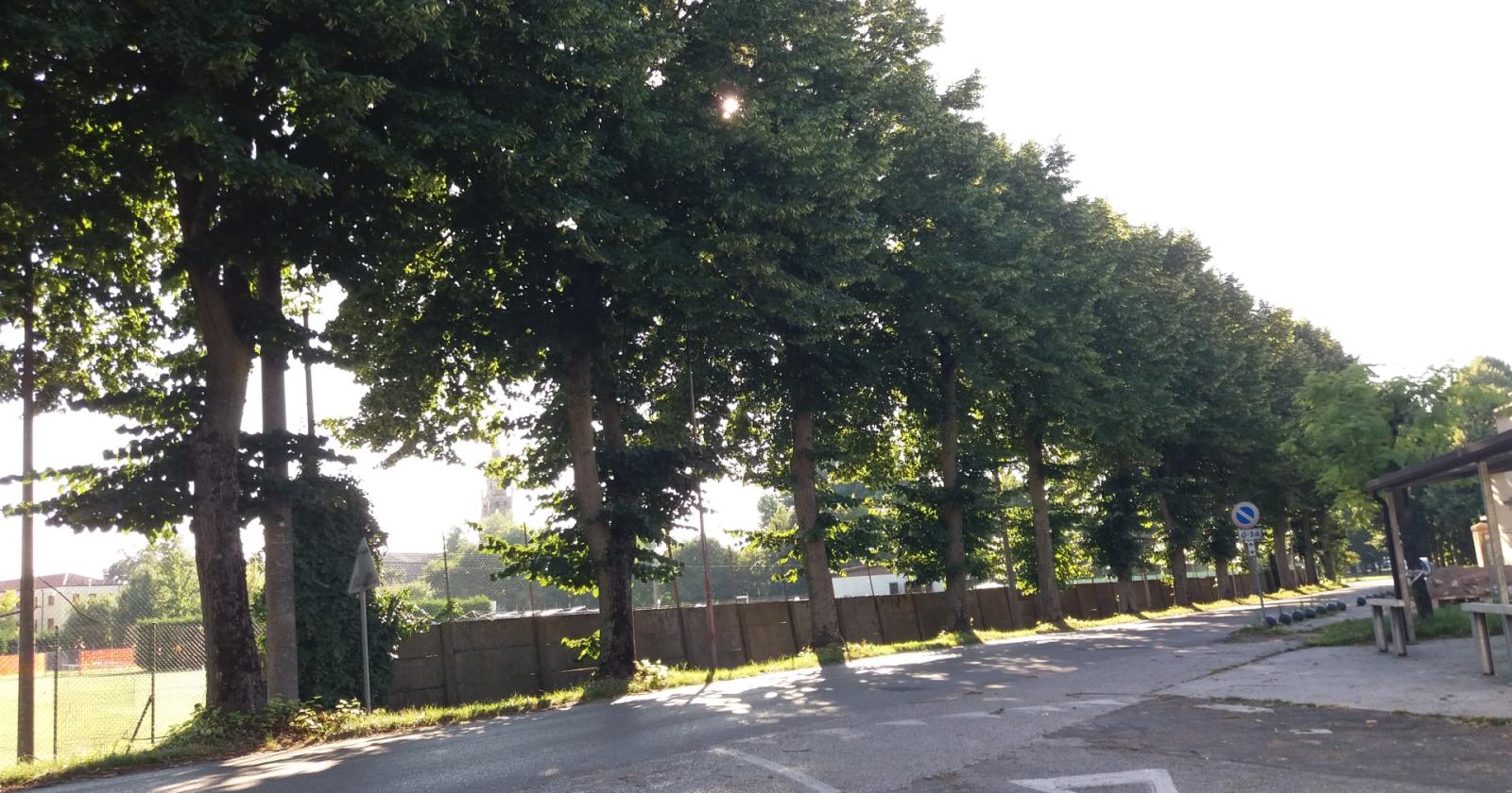 Via libera alla nuova pista ciclo-pedonale