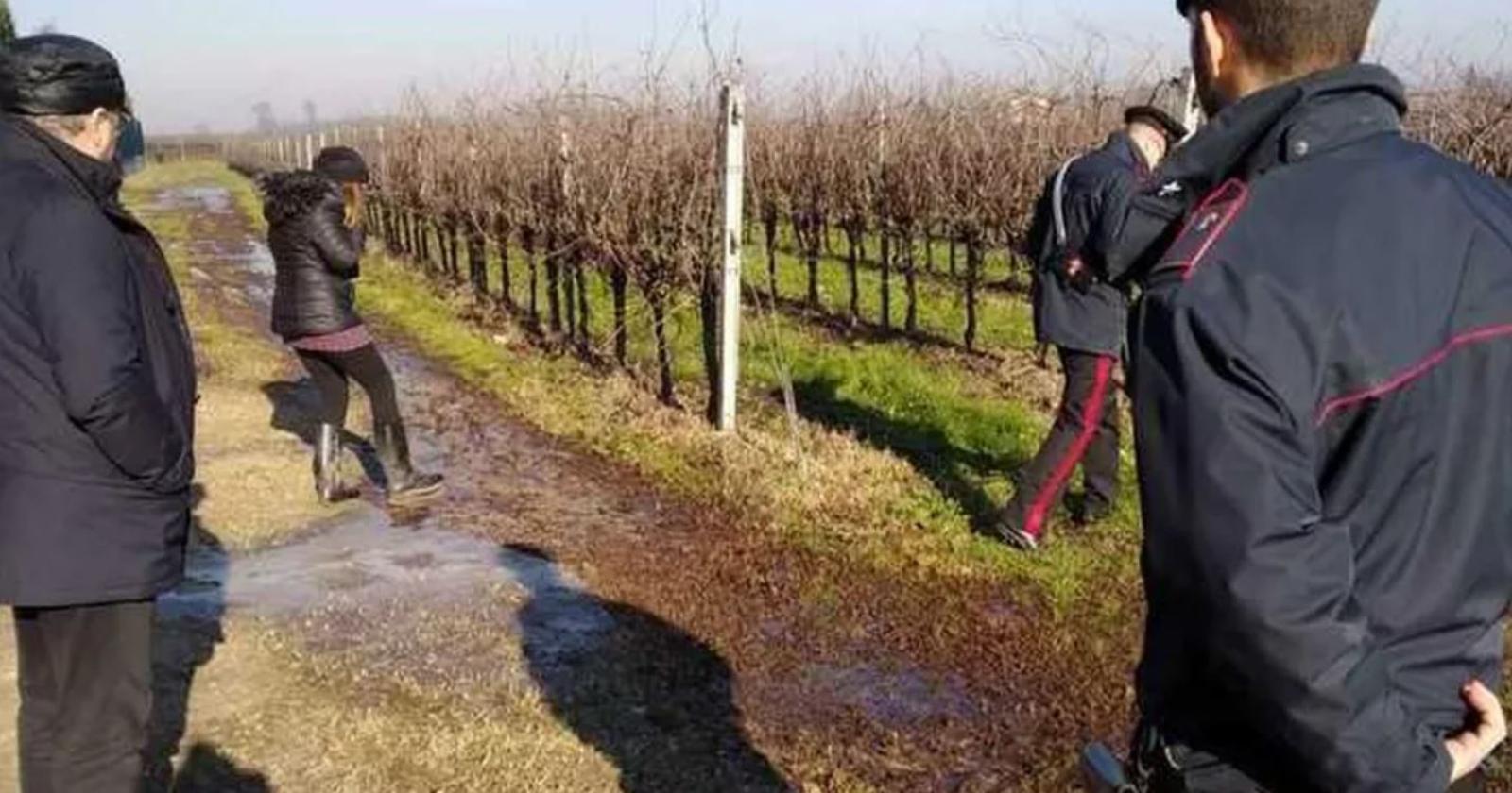 Problemi all'impianto di depurazione: vigneto inondato dalla melma
