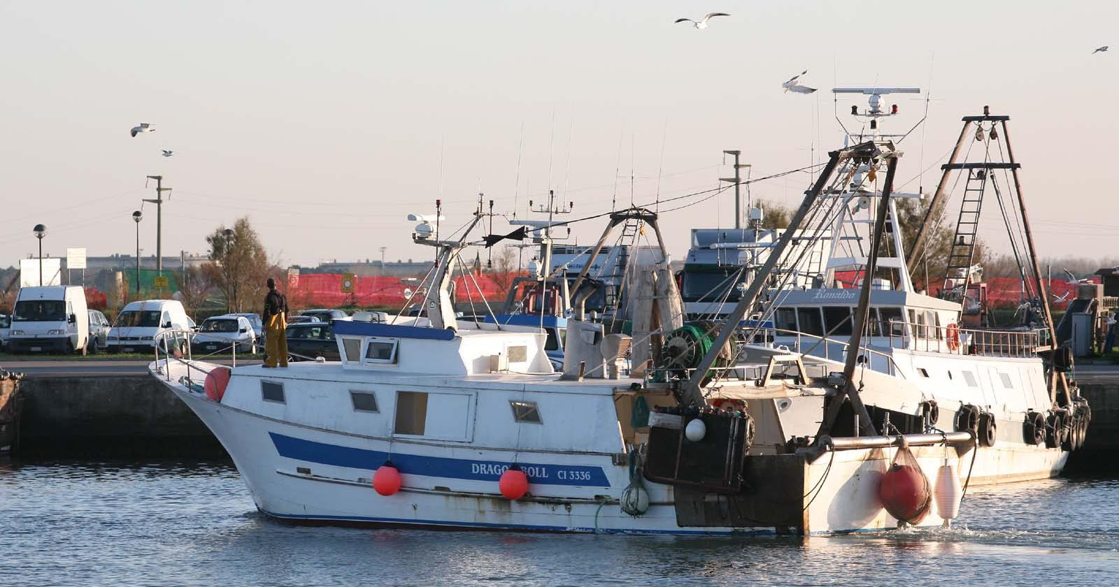 Porto di Pila, lavori avanti tutta!