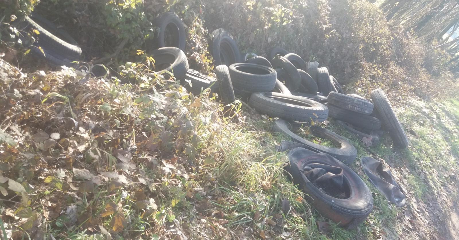 Gli ecovandali colpiscono ancora
