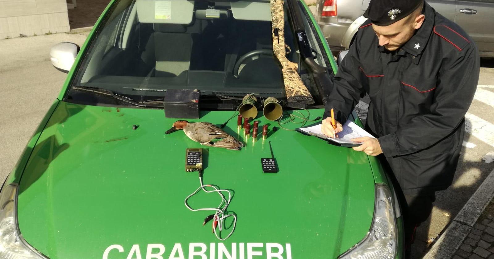 Bracconaggio nel Delta, denunce e sequestri
