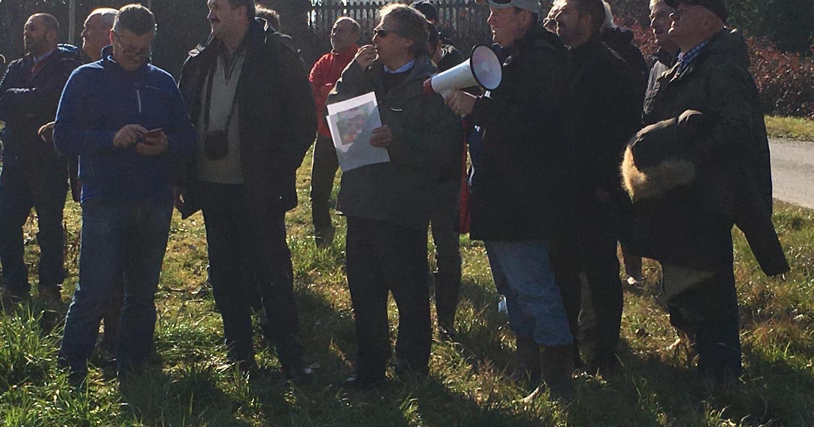 C'&egrave; l'ok alla pioppicoltura sperimentale