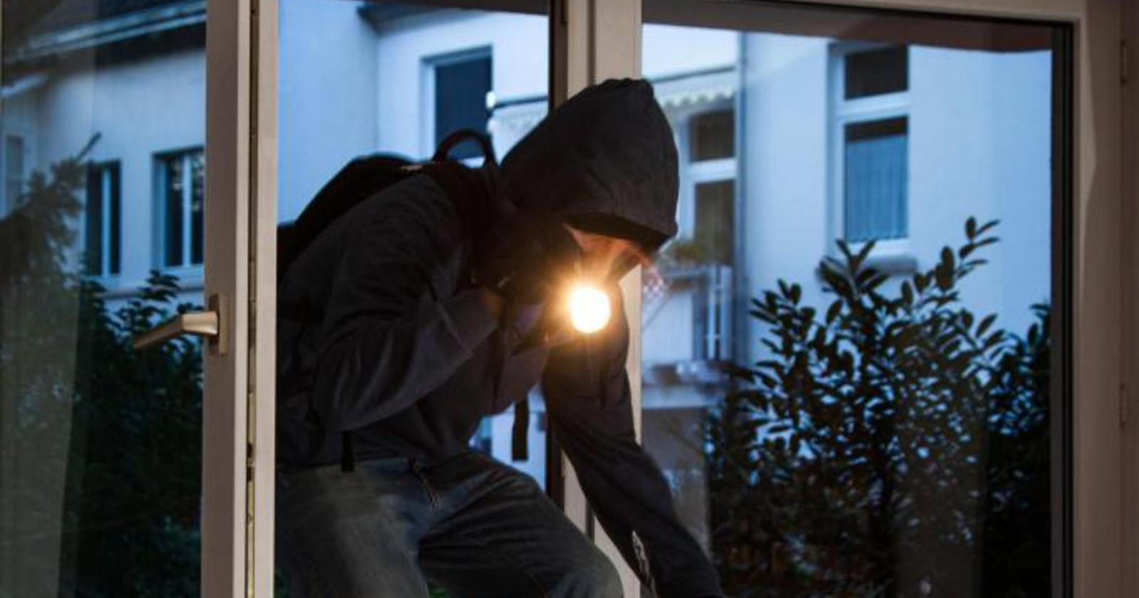 Ladri in azione, picchiato un cane