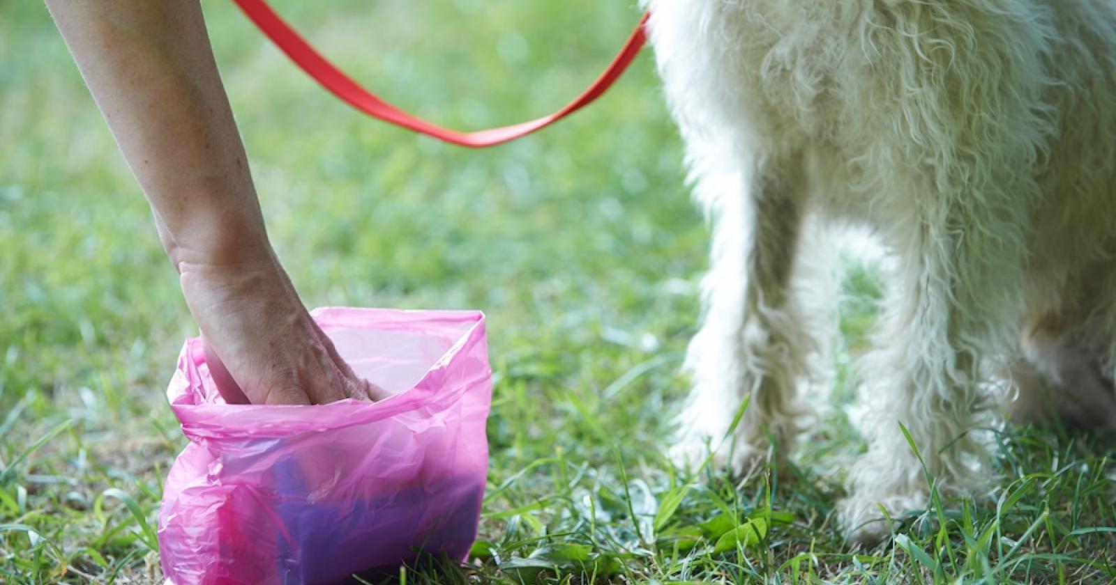 Basta "ricordini" dei cani in centro