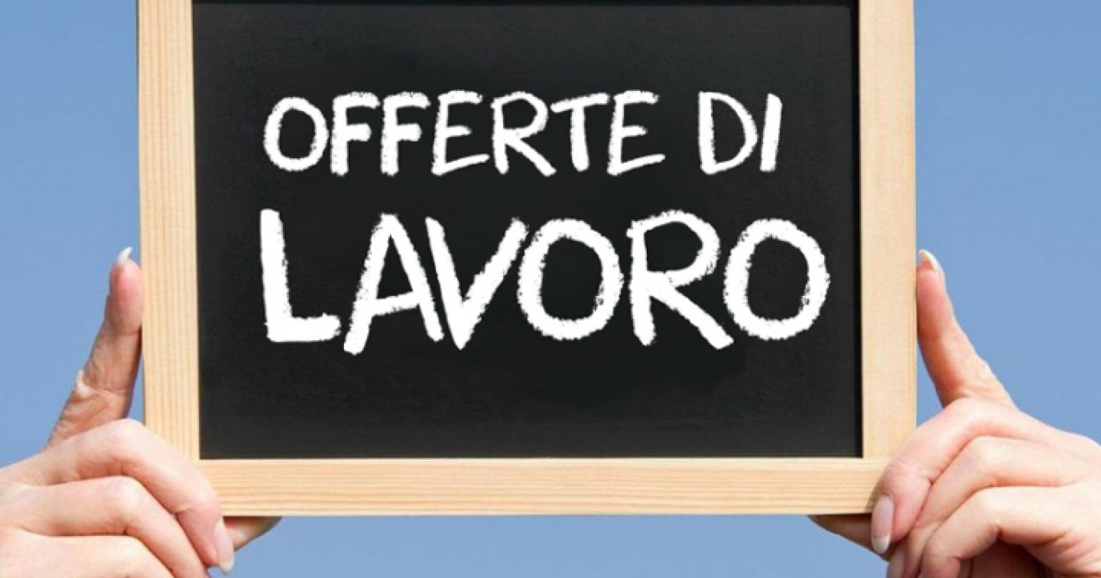 Offerte a Rovigo