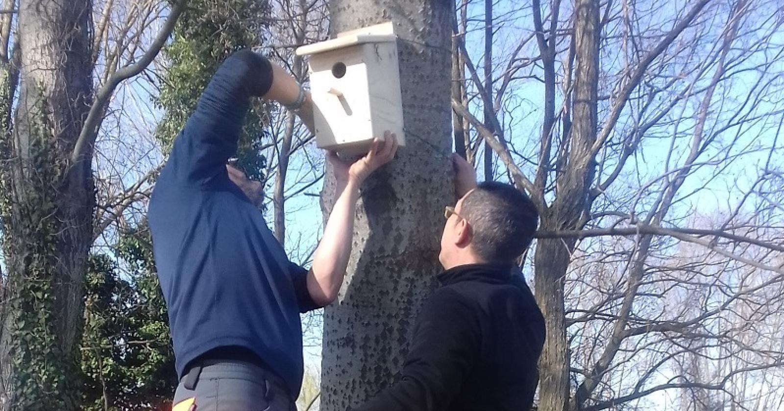 Rifugi per gli uccellini nel parco della scuola