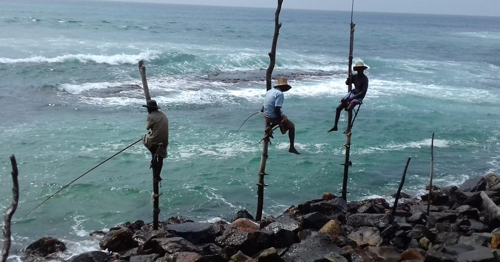 Sri Lanka, isola che risplende