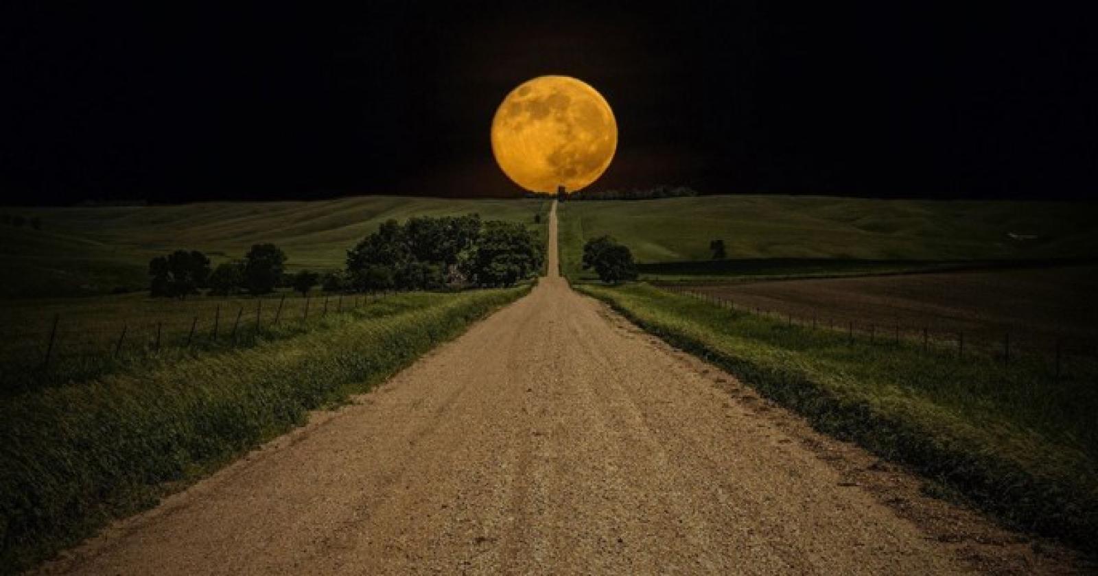 "Il Grande Passo" made in Polesine