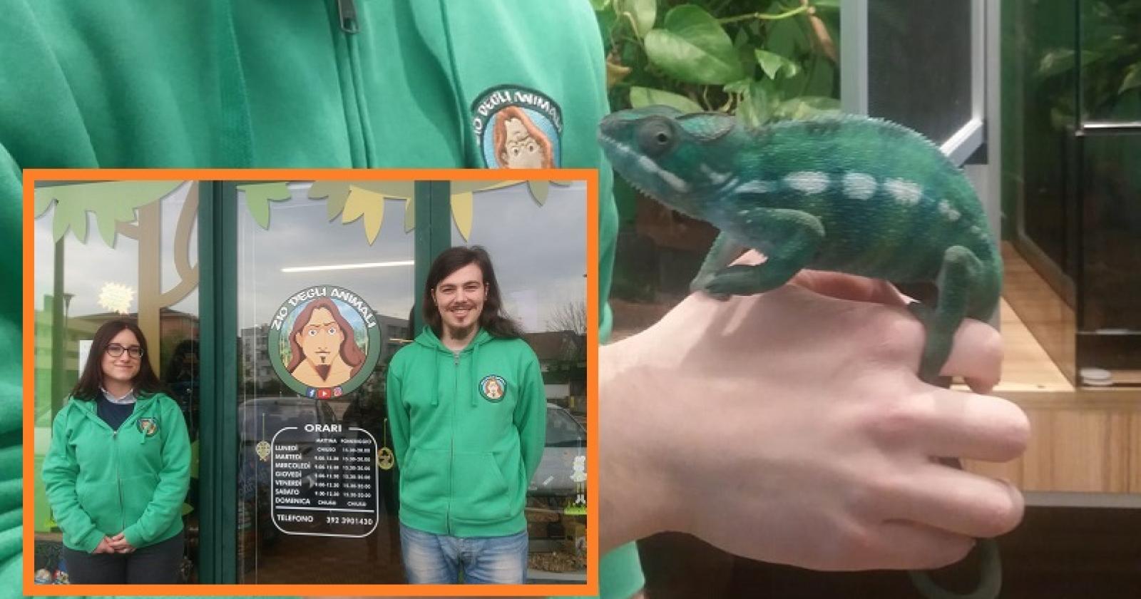 Il negozio che non ti aspetti