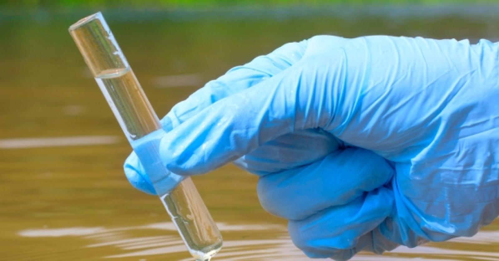 Omicron: la variante trovata nelle acque reflue del Veneto 