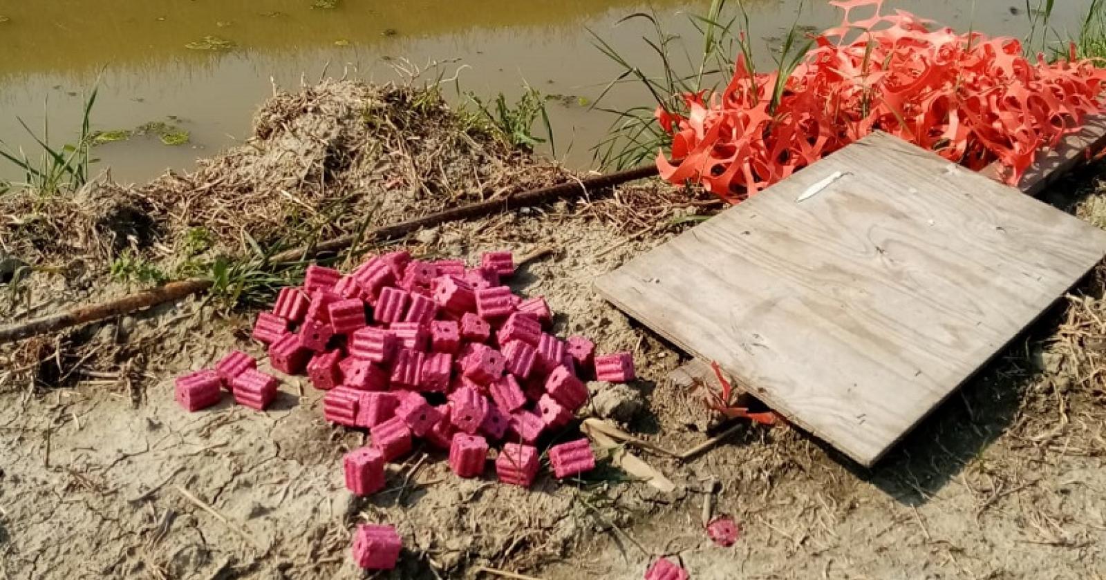 Allarme esche avvelenate: "messe per nutrie, uccidono cani, gatti e selvatici"