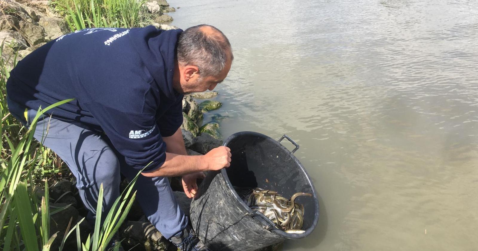 Nuova vita nelle nostre acque: liberati 190 chili di pesce