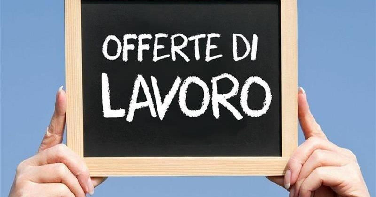 Sono arrivate 78 nuove offerte di lavoro a Rovigo e provincia