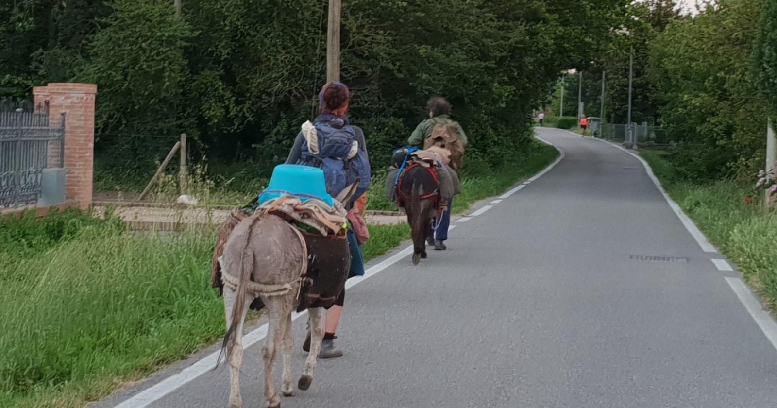 Turista straniero derubato. Raccolta fondi dei cittadini