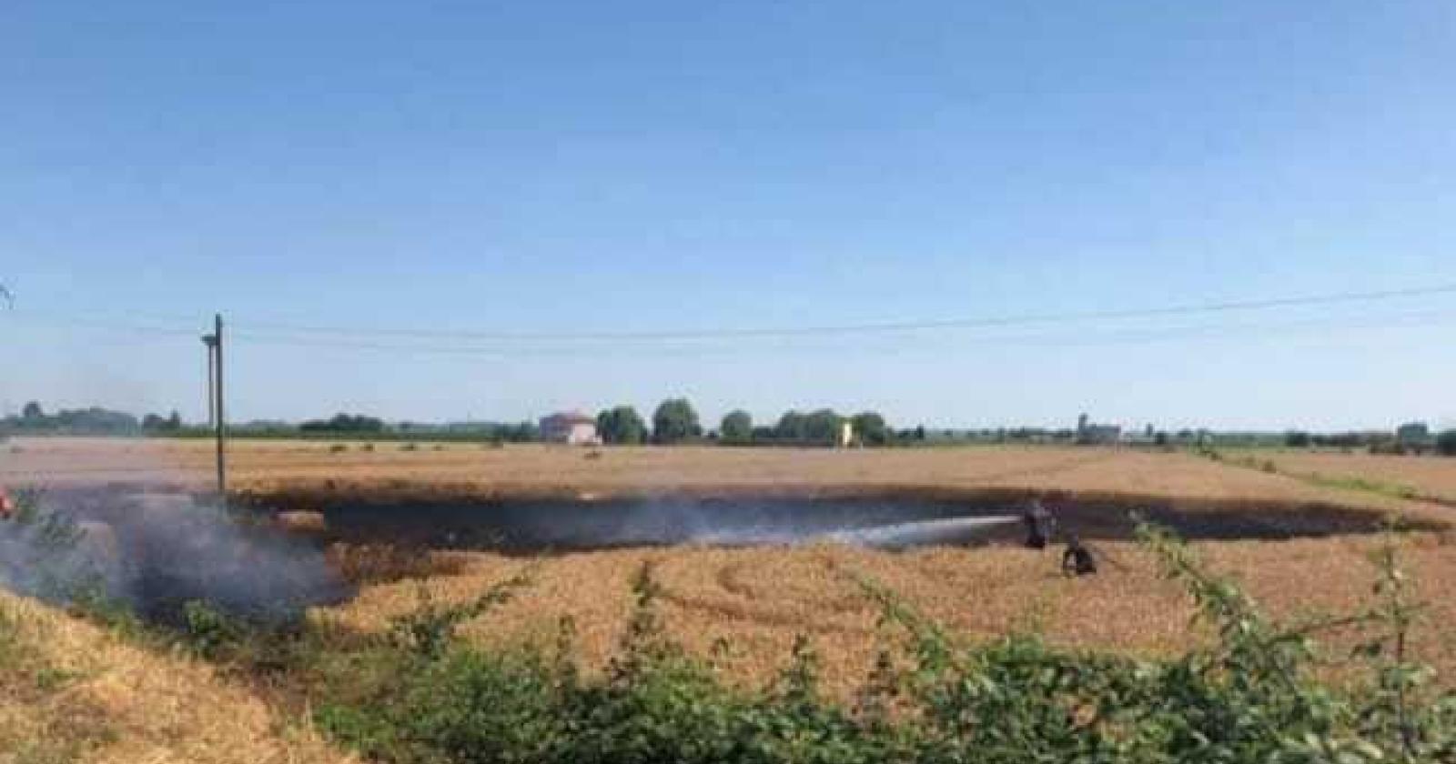 A fuoco i campi del vicesindaco: "Vittima di vandalismo"