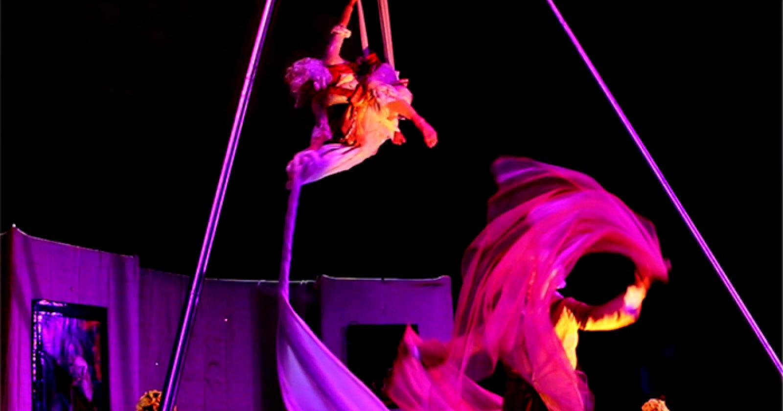 Il successo del circo senza animali