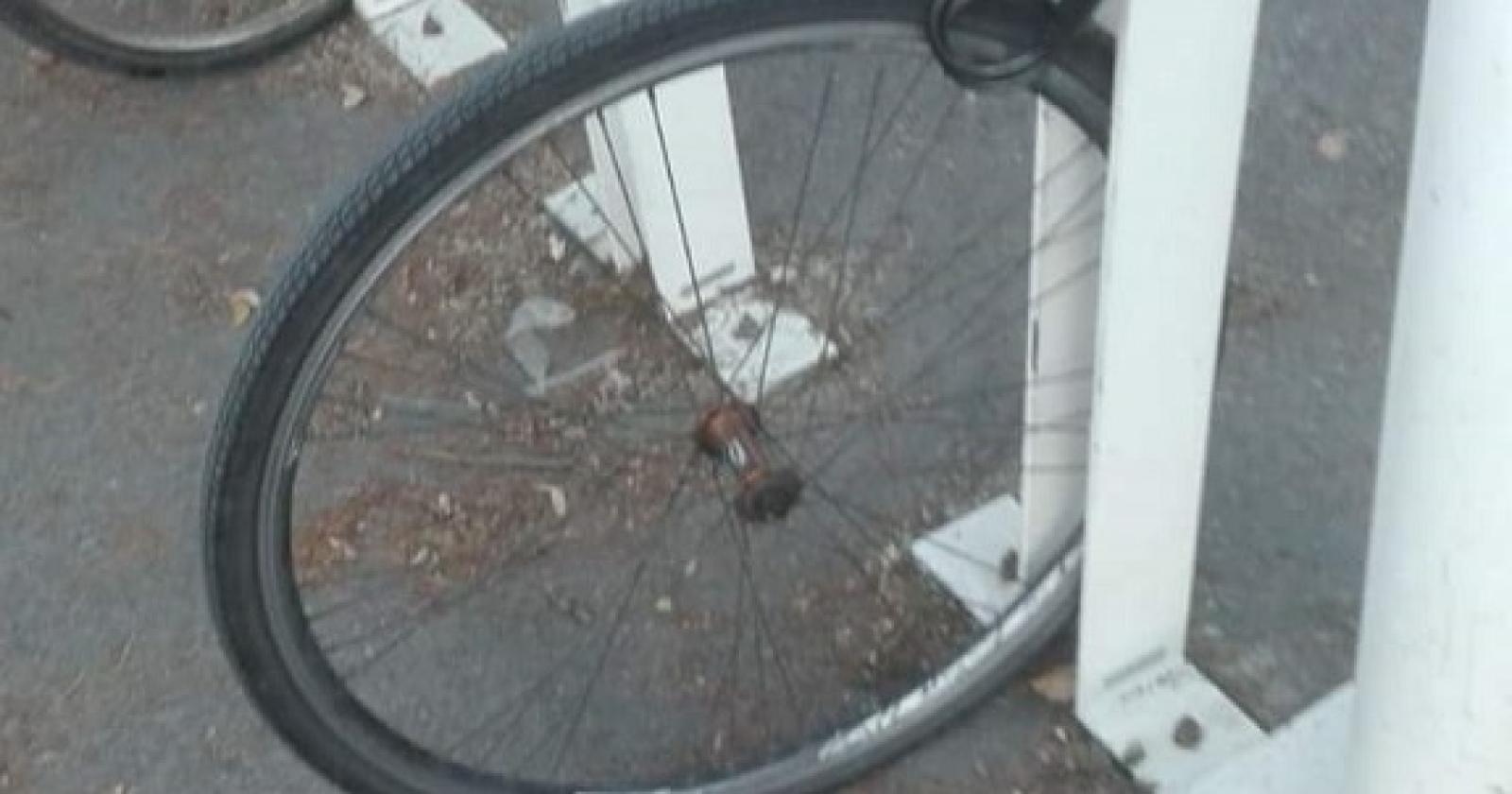 Bici rubate a raffica. Anche nella "gabbia"